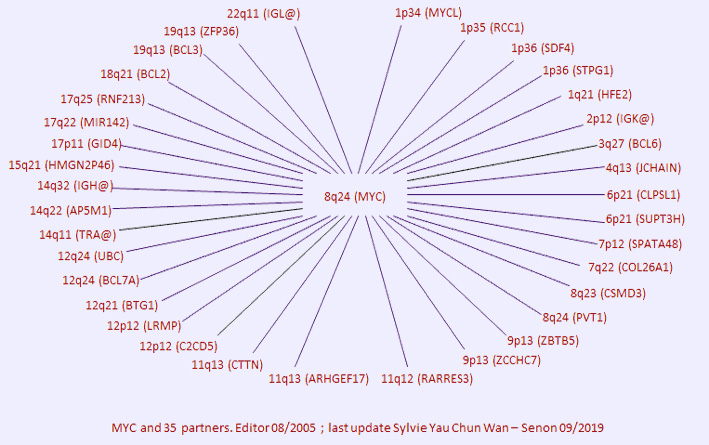 MYC partners